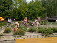 img_20250521_113351257_hdr-kopiowanie-jpg1752773094